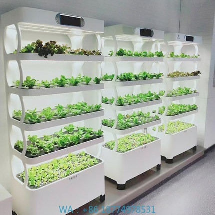 Hydroponic Automated Grow Syst - Diy Automation recension och pris